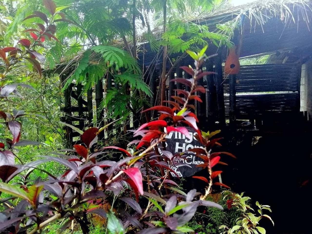The Horizon Root Inn Ella Luaran gambar